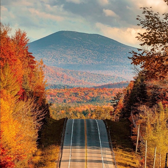 💞Meet your Posher, Celeste Ann💞 - Picture 9 of 12